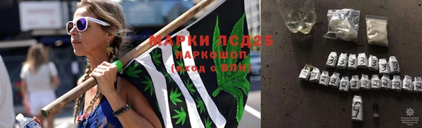 дурь Няндома