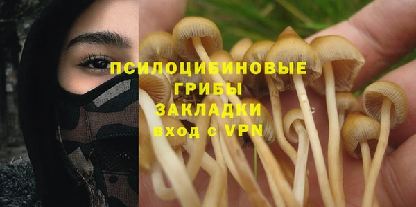 винт Осинники