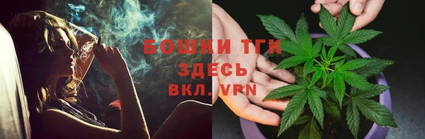 прущие грибы Нязепетровск