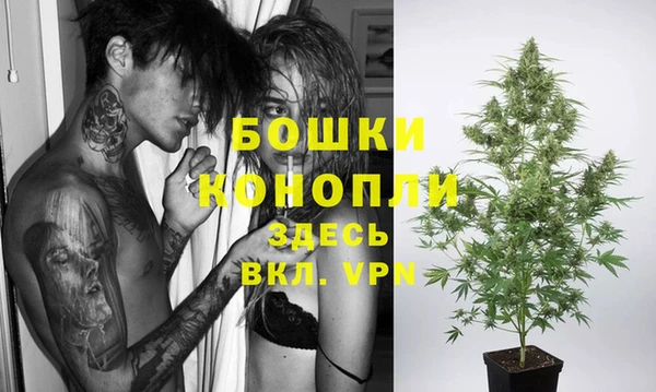 трава Переславль-Залесский