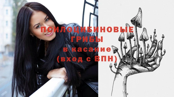 стаф Пестово