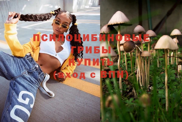 а пвп мука Осташков