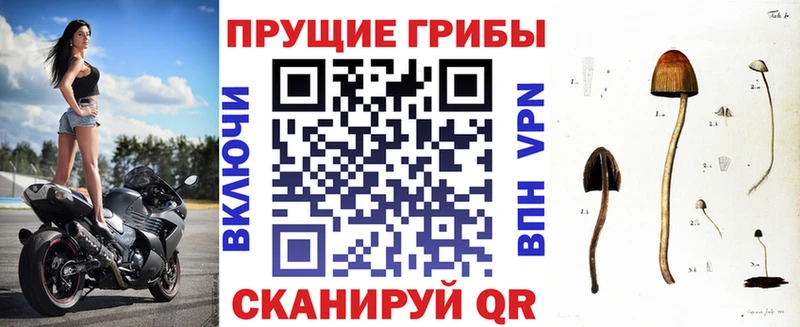 OMG ССЫЛКА  Куйбышев  Псилоцибиновые грибы прущие грибы 