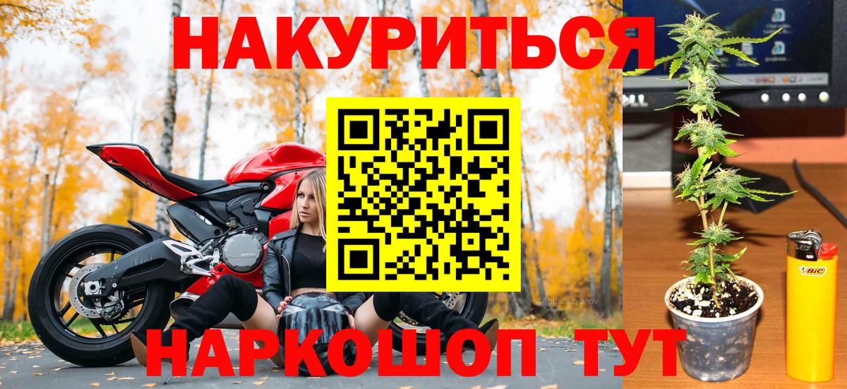 Бошки Шишки марихуана Куйбышев